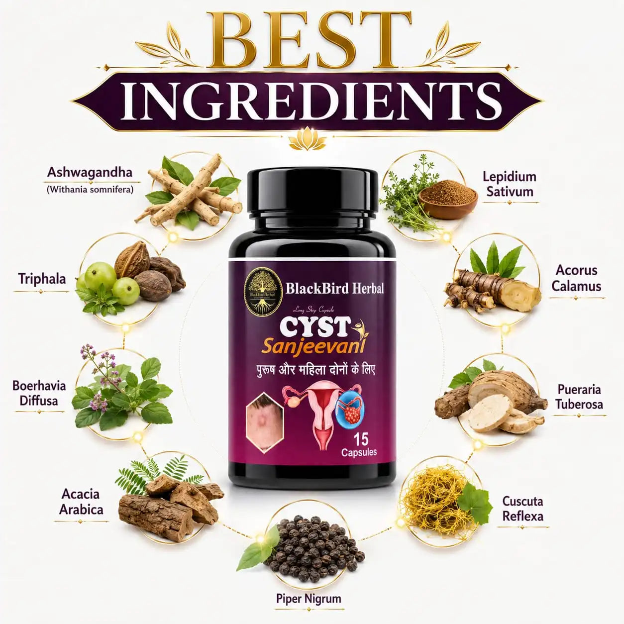 BlackBird Herbal CYST Sanjeevani – Ayurvedic PCOS & Hormonal Wellness Capsules