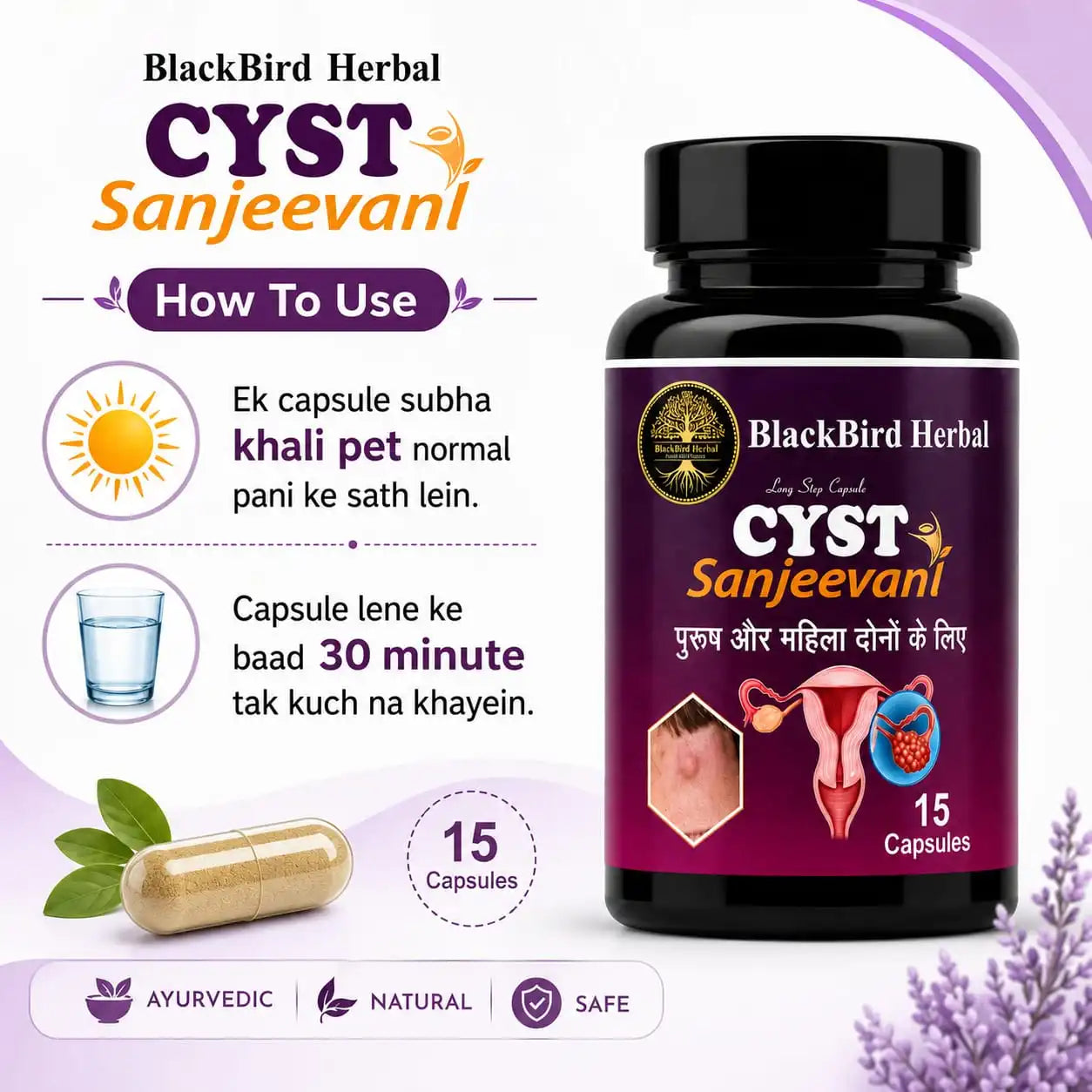 BlackBird Herbal CYST Sanjeevani – Ayurvedic PCOS & Hormonal Wellness Capsules